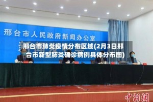 邢台市肺炎疫情分布区域(2月3日邢台市新型肺炎确诊病例具体分布图)