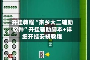 开挂教程“家乡大二辅助软件”开挂辅助脚本+详细开挂安装教程