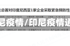 简印尼疫情/印尼疫情通报