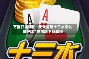 万能开挂辅助“天天福建十三水怎么拿好牌”通用版下载教程