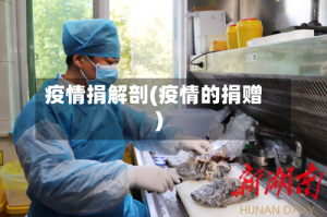 疫情捐解剖(疫情的捐赠)