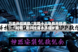 万能开挂辅助“掌酷十三张有开挂透视吗”附开挂脚本详细步骤