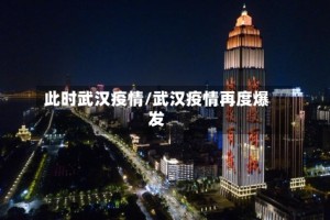 此时武汉疫情/武汉疫情再度爆发