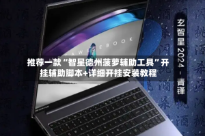 推荐一款“智星德州菠萝辅助工具”开挂辅助脚本+详细开挂安装教程