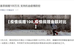 【疫情捐赠100,疫情捐赠金额对比】