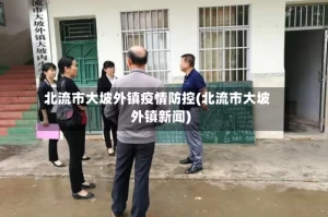 北流市大坡外镇疫情防控(北流市大坡外镇新闻)