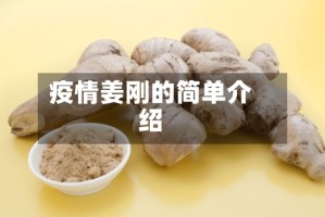 疫情姜刚的简单介绍