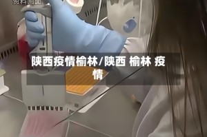 陕西疫情榆林/陕西 榆林 疫情
