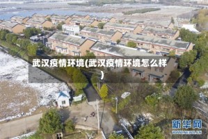武汉疫情环境(武汉疫情环境怎么样)