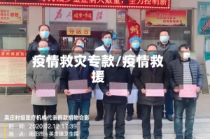 疫情救灾专款/疫情救援