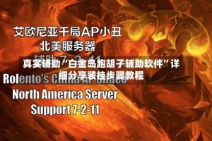 真实辅助“白金岛跑胡子辅助软件”详细分享装挂步骤教程