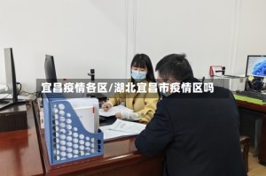 宜昌疫情各区/湖北宜昌市疫情区吗