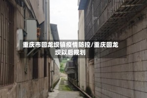重庆市回龙坝镇疫情防控/重庆回龙坝以后规划