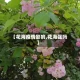 【花海疫情影响,花海强吗】