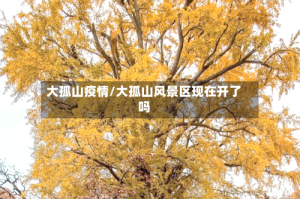 大孤山疫情/大孤山风景区现在开了吗