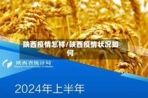 陕西疫情怎样/陕西疫情状况如何