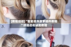 [教程经验]“智星德州菠萝插件教程”详细透视辅助教程