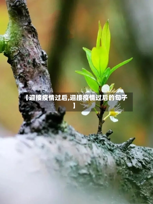 【迎接疫情过后,迎接疫情过后的句子】-第1张图片