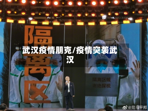 武汉疫情朋克/疫情突袭武汉-第3张图片