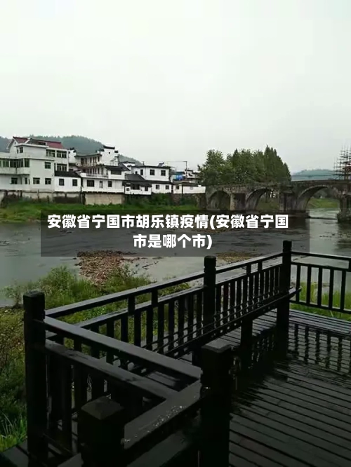 安徽省宁国市胡乐镇疫情(安徽省宁国市是哪个市)-第1张图片