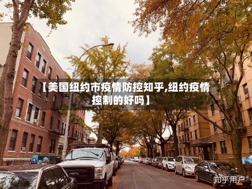 【美国纽约市疫情防控知乎,纽约疫情控制的好吗】-第2张图片