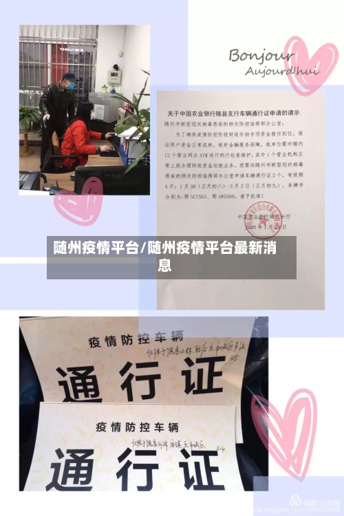 随州疫情平台/随州疫情平台最新消息-第1张图片
