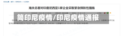 简印尼疫情/印尼疫情通报-第1张图片