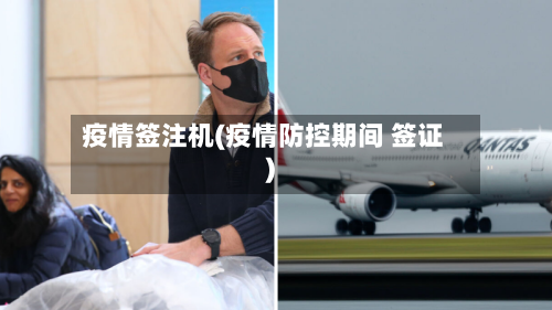 疫情签注机(疫情防控期间 签证)-第2张图片