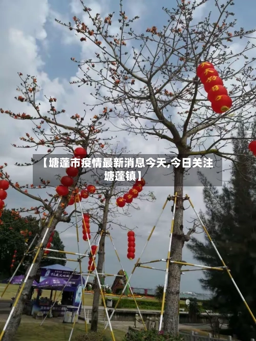 【塘蓬市疫情最新消息今天,今日关注塘蓬镇】-第3张图片