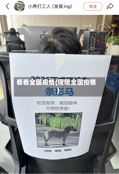 看看全国疫情(嗯嗯全国疫情)-第3张图片
