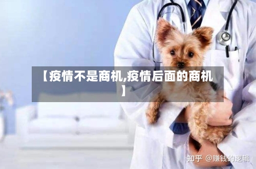 【疫情不是商机,疫情后面的商机】-第2张图片