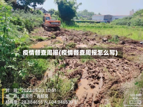 疫情督查周报(疫情督查周报怎么写)-第2张图片