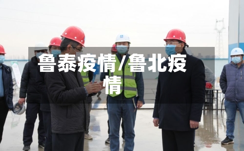 鲁泰疫情/鲁北疫情-第1张图片
