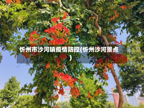 忻州市沙河镇疫情防控(忻州沙河景点)-第1张图片