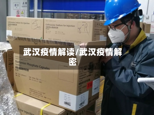 武汉疫情解读/武汉疫情解密-第1张图片