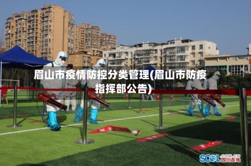 眉山市疫情防控分类管理(眉山市防疫指挥部公告)-第2张图片