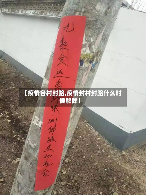 【疫情各村封路,疫情封村封路什么时候解除】-第1张图片