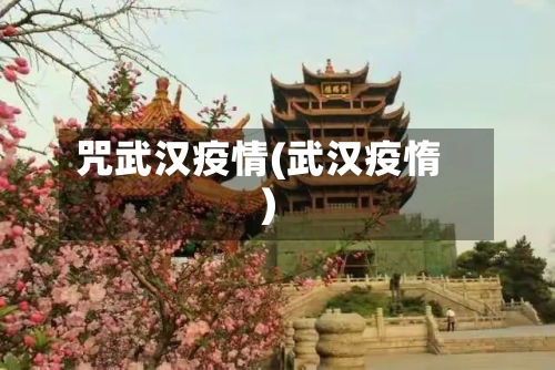 咒武汉疫情(武汉疫惰)-第1张图片