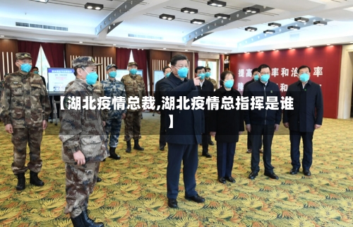 【湖北疫情总裁,湖北疫情总指挥是谁】-第2张图片