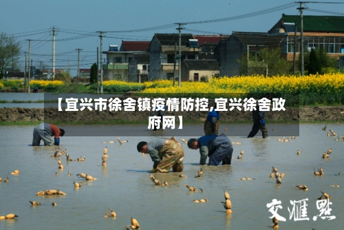 【宜兴市徐舍镇疫情防控,宜兴徐舍政府网】-第1张图片