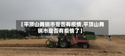 【平顶山舞钢市是否有疫情,平顶山舞钢市是否有疫情了】-第1张图片