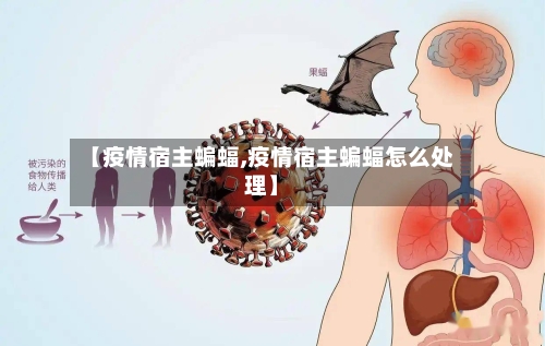 【疫情宿主蝙蝠,疫情宿主蝙蝠怎么处理】-第1张图片