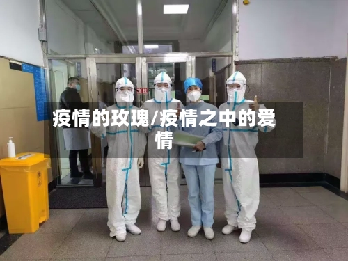 疫情的玫瑰/疫情之中的爱情-第2张图片