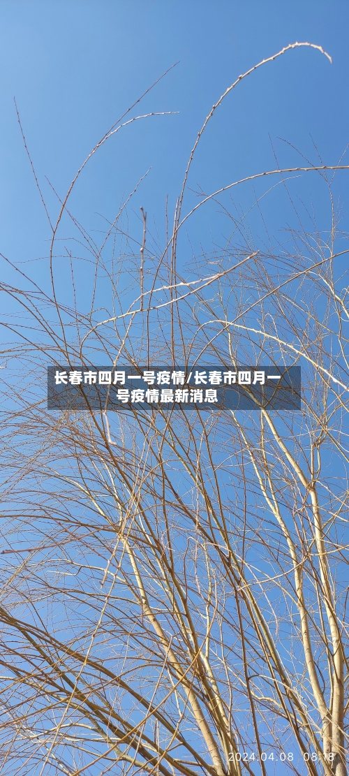 长春市四月一号疫情/长春市四月一号疫情最新消息-第1张图片