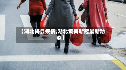 【湖北梅县疫情,湖北黄梅新冠最新动态】-第1张图片