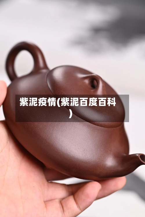 紫泥疫情(紫泥百度百科)-第1张图片