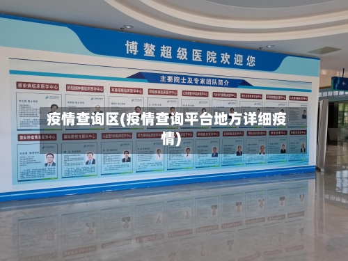 疫情查询区(疫情查询平台地方详细疫情)-第2张图片