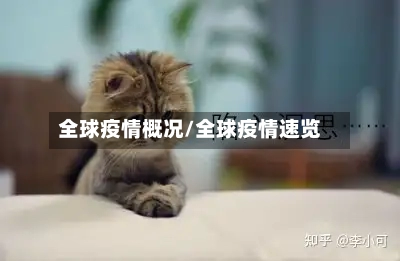 全球疫情概况/全球疫情速览-第1张图片