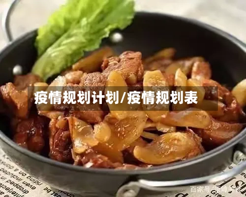 疫情规划计划/疫情规划表-第2张图片