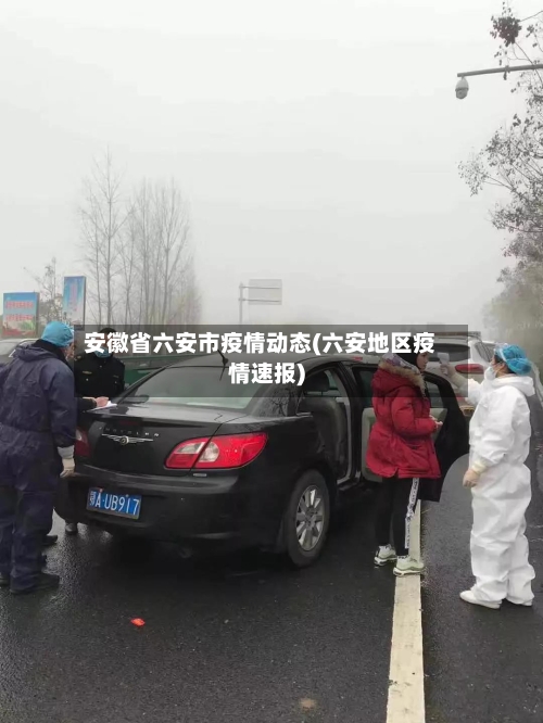 安徽省六安市疫情动态(六安地区疫情速报)-第2张图片